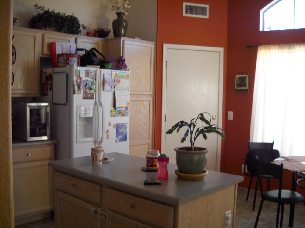 445 West Colt Road Tempe, AZ 85284 - Photo 14 of 15 Kitchen