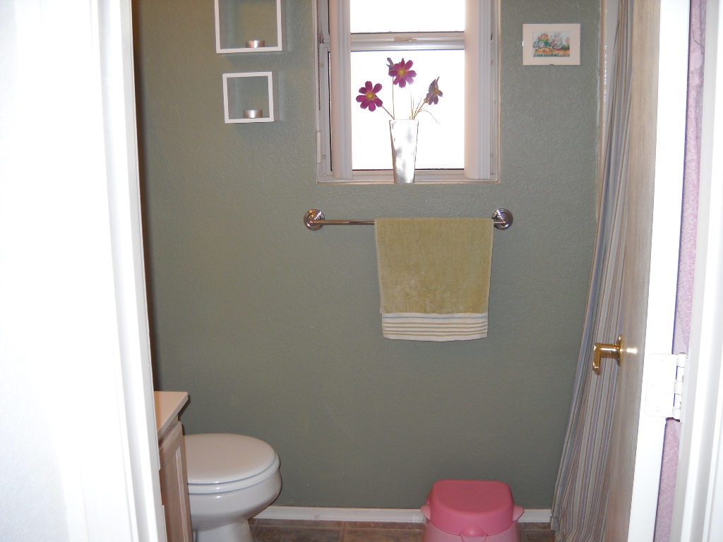 445 West Colt Road Tempe, AZ 85284 - Photo 6 of 15 Guest Bathroom