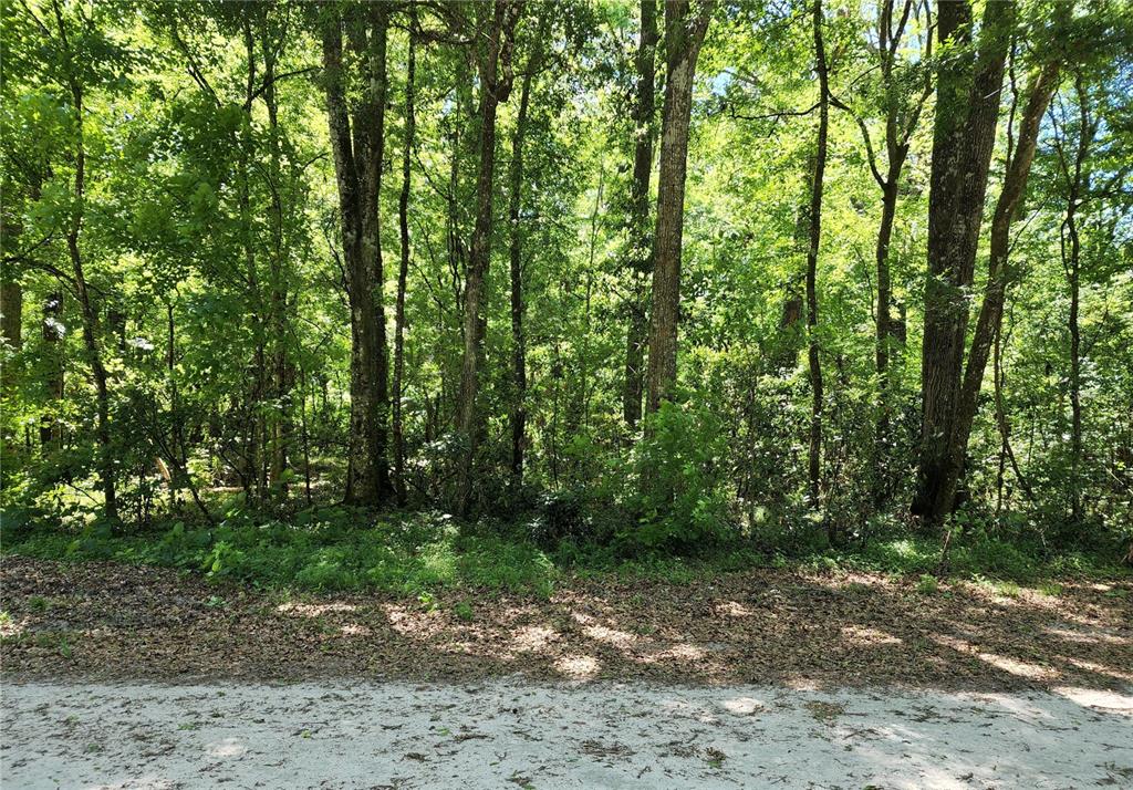 0 Southwest Delaware Way Fort White, FL 32038 - Photo 1 of 1 Gallery Image 1