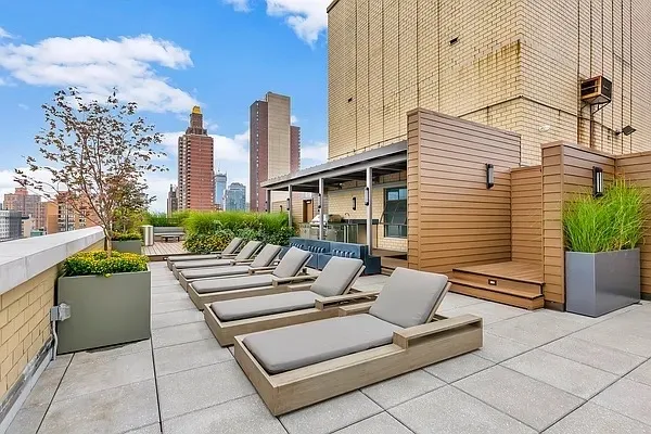 a view of a patio with couches and a potted plant on a table