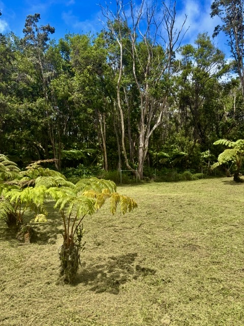 3 Haunani Road Volcano, HI 96785 - Photo 3 of 27 Gallery Image 3
