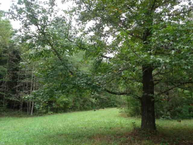 28 Jennings Hl Road Campton, KY 41301 - Photo 7 of 24 Photo 8