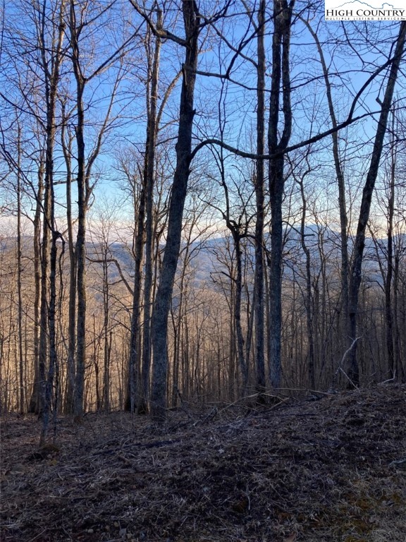Lot 8 Saddle Road Vilas, NC 28692 - Photo 2 of 7 Gallery Image 2