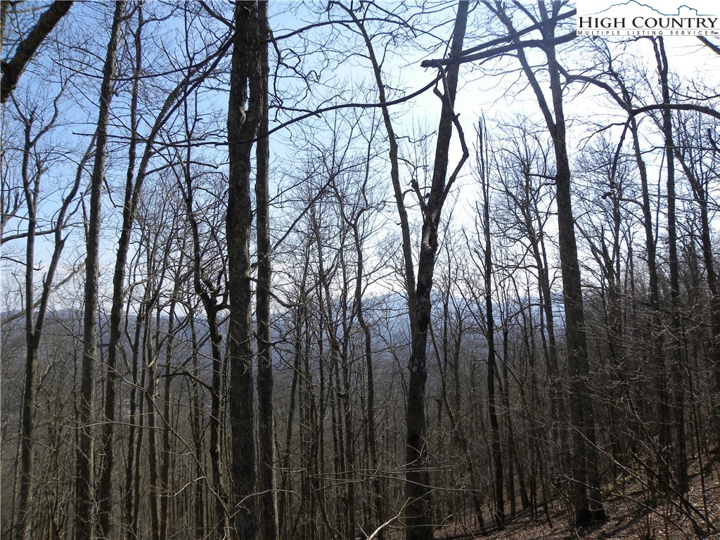 Lot 8 Saddle Road Vilas, NC 28692 - Photo 3 of 7 Gallery Image 3