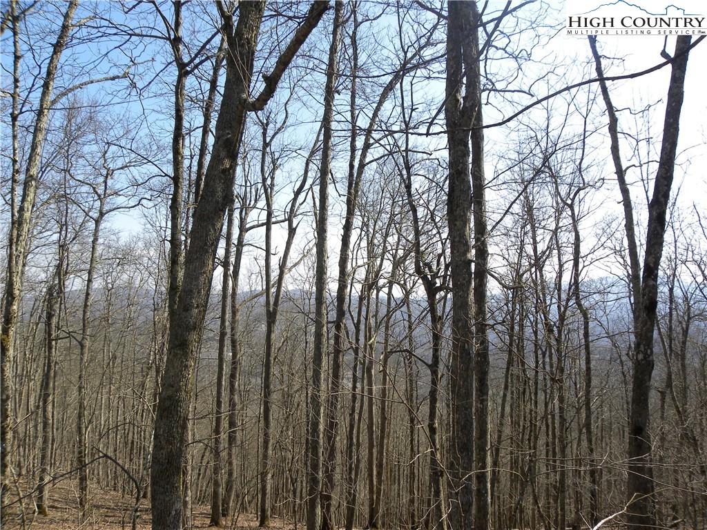 Lot 8 Saddle Road Vilas, NC 28692 - Photo 4 of 7 Gallery Image 4