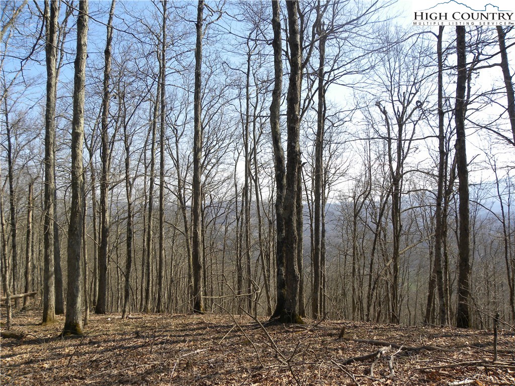 Lot 8 Saddle Road Vilas, NC 28692 - Photo 5 of 7 Gallery Image 5
