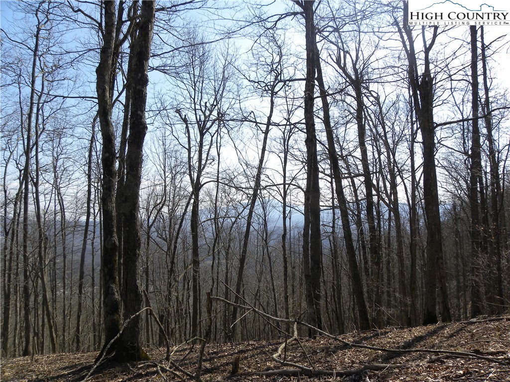 Lot 8 Saddle Road Vilas, NC 28692 - Photo 6 of 7 Gallery Image 6