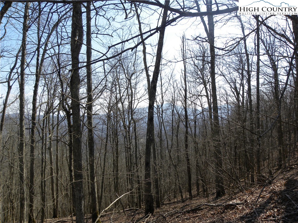 Lot 8 Saddle Road Vilas, NC 28692 - Photo 7 of 7 Gallery Image 7