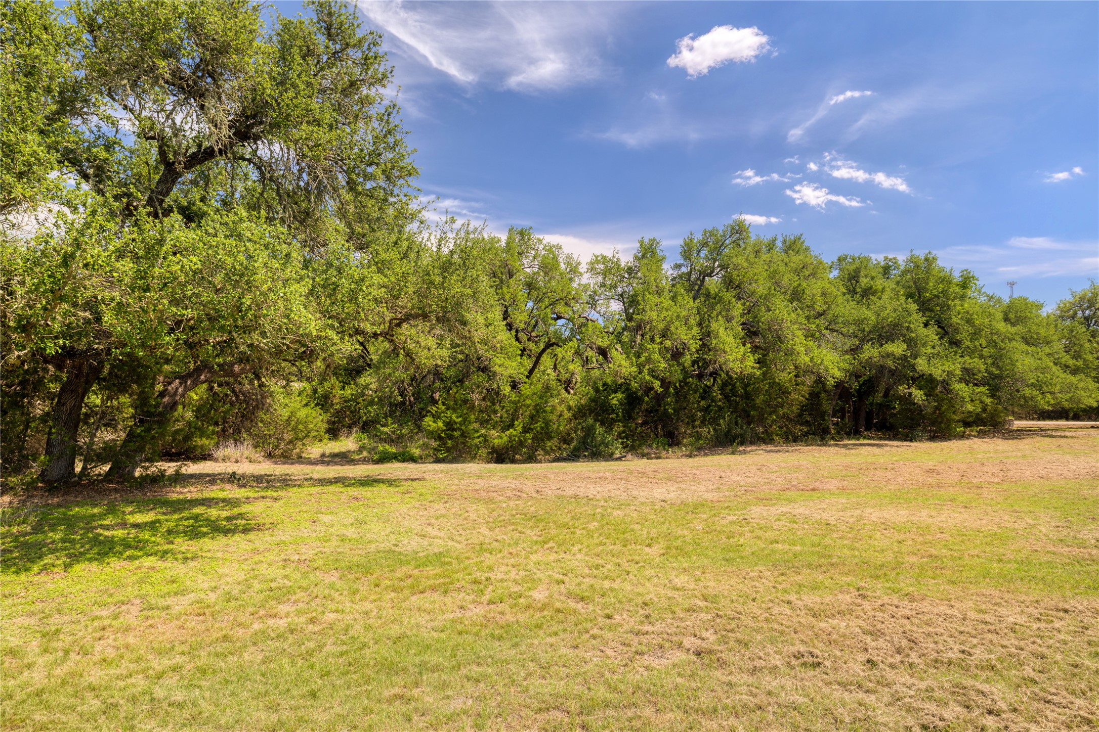 187 Beauchamp Road Dripping Springs, TX 78620 - Photo 6 of 19 Expansive open field bordered by mature deciduous trees