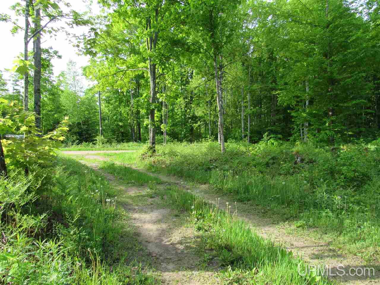 11998 Roy Wright Road Shingleton, MI 49884 - Photo 16 of 36