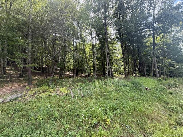 Lot 3 Shoddy Hollow Road Otisville, NY 10963 - Photo 1 of 1 a view of outdoor space and green space