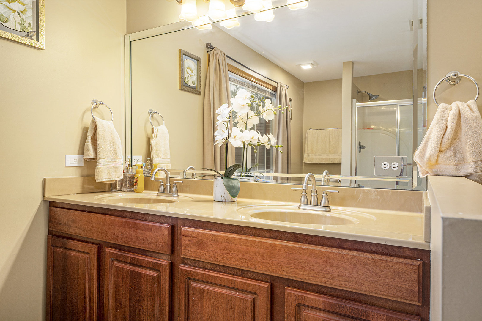 257 Pine Street Beecher, IL 60401 - Photo 20 of 31 a bathroom with a sink and a mirror