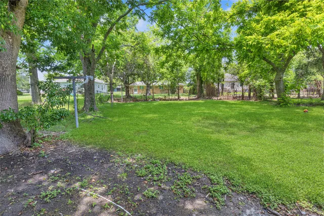 a huge green field with lots of trees