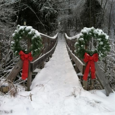 5806 Barber Road Hastings, MI 49058 - Photo 10 of 11 Reed Christmas