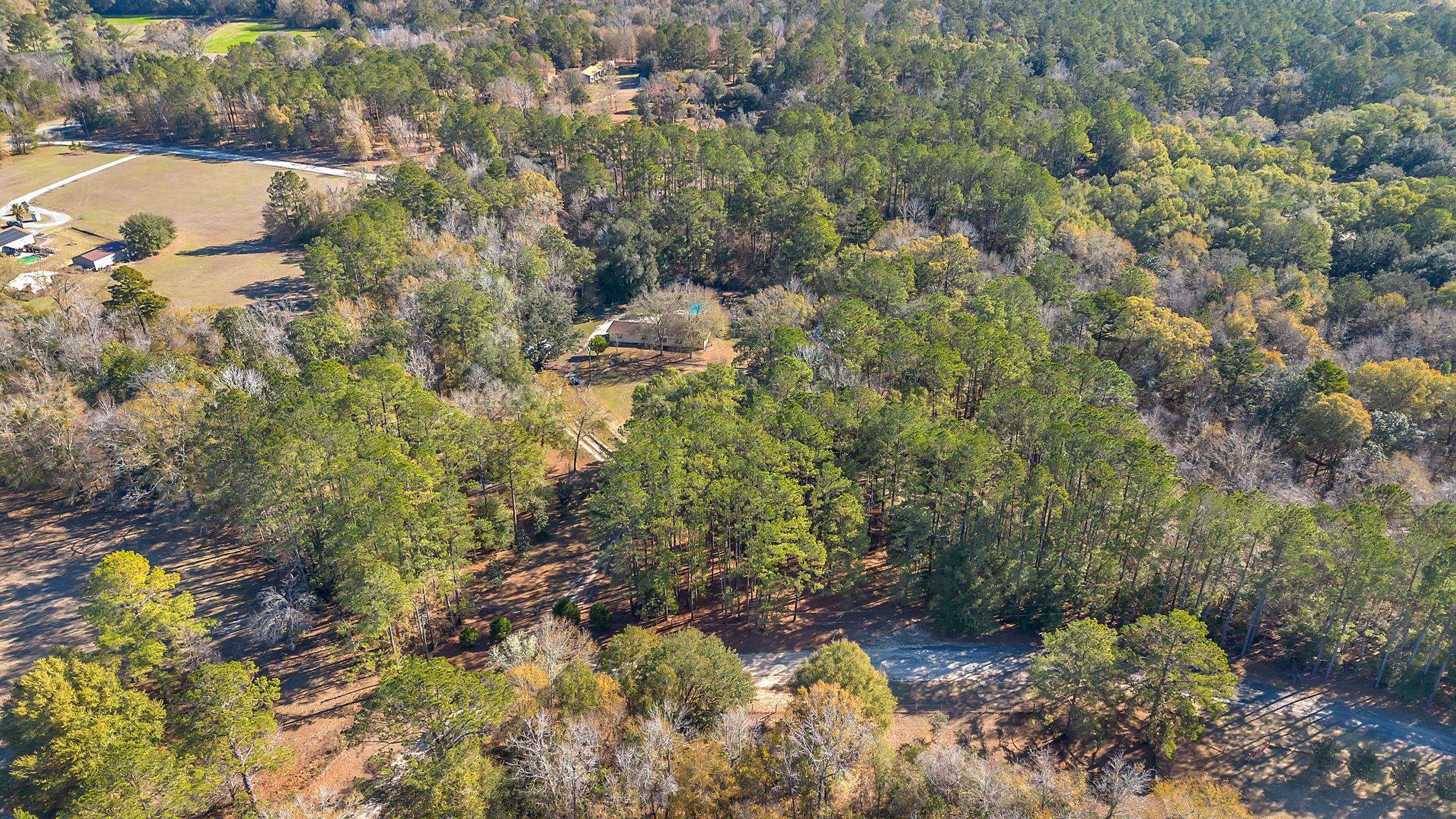 249 Littman Road Quincy, FL 32352 - Photo 5 of 47