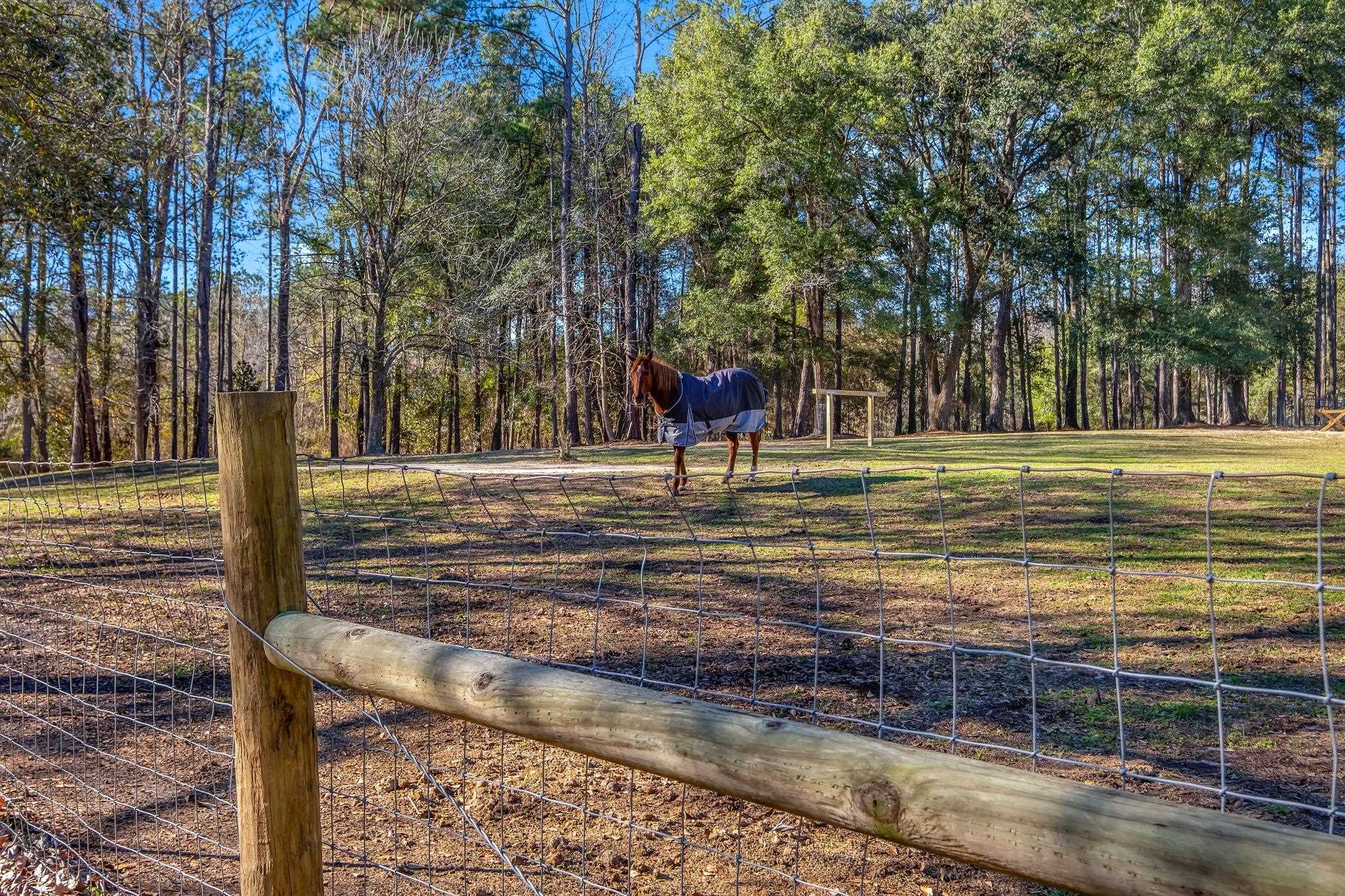 249 Littman Road Quincy, FL 32352 - Photo 10 of 47