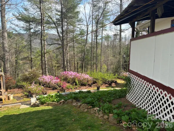 a garden view with iron fence