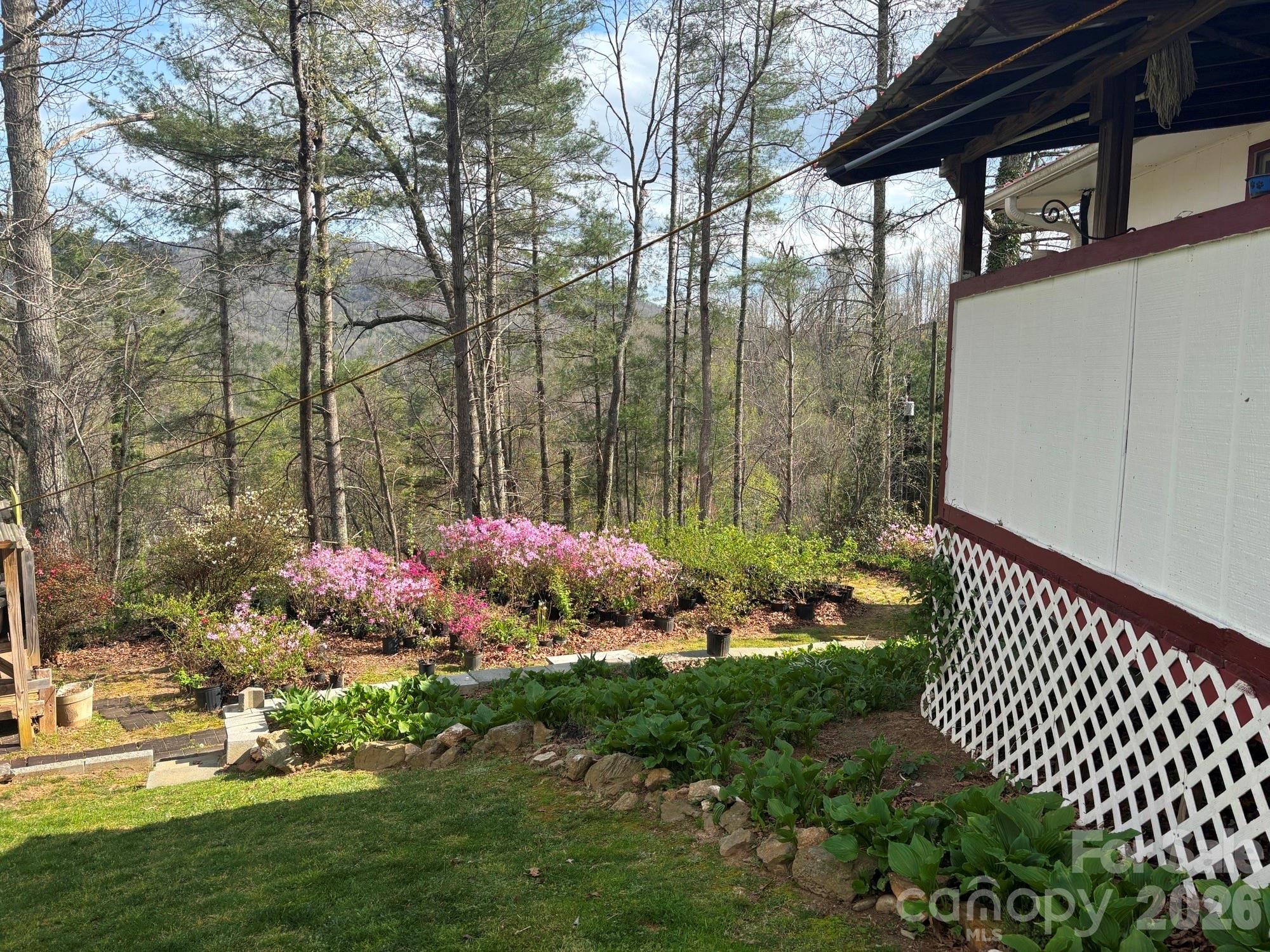 493 Franklintown Road Spruce Pine, NC 28777 - Photo 16 of 27 a garden view with iron fence