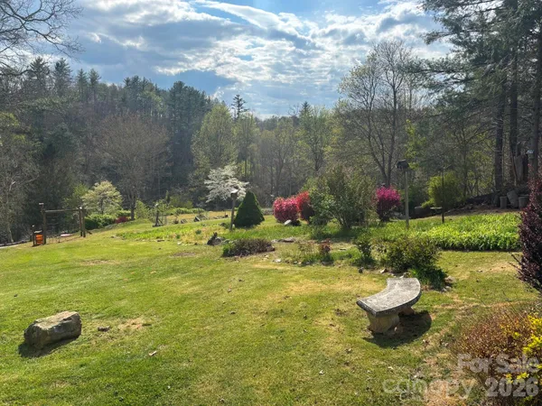 a view of a garden with plants