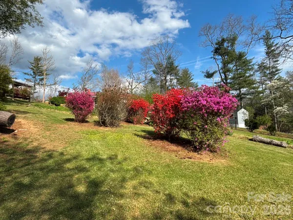 a view of a garden with flowers and tree