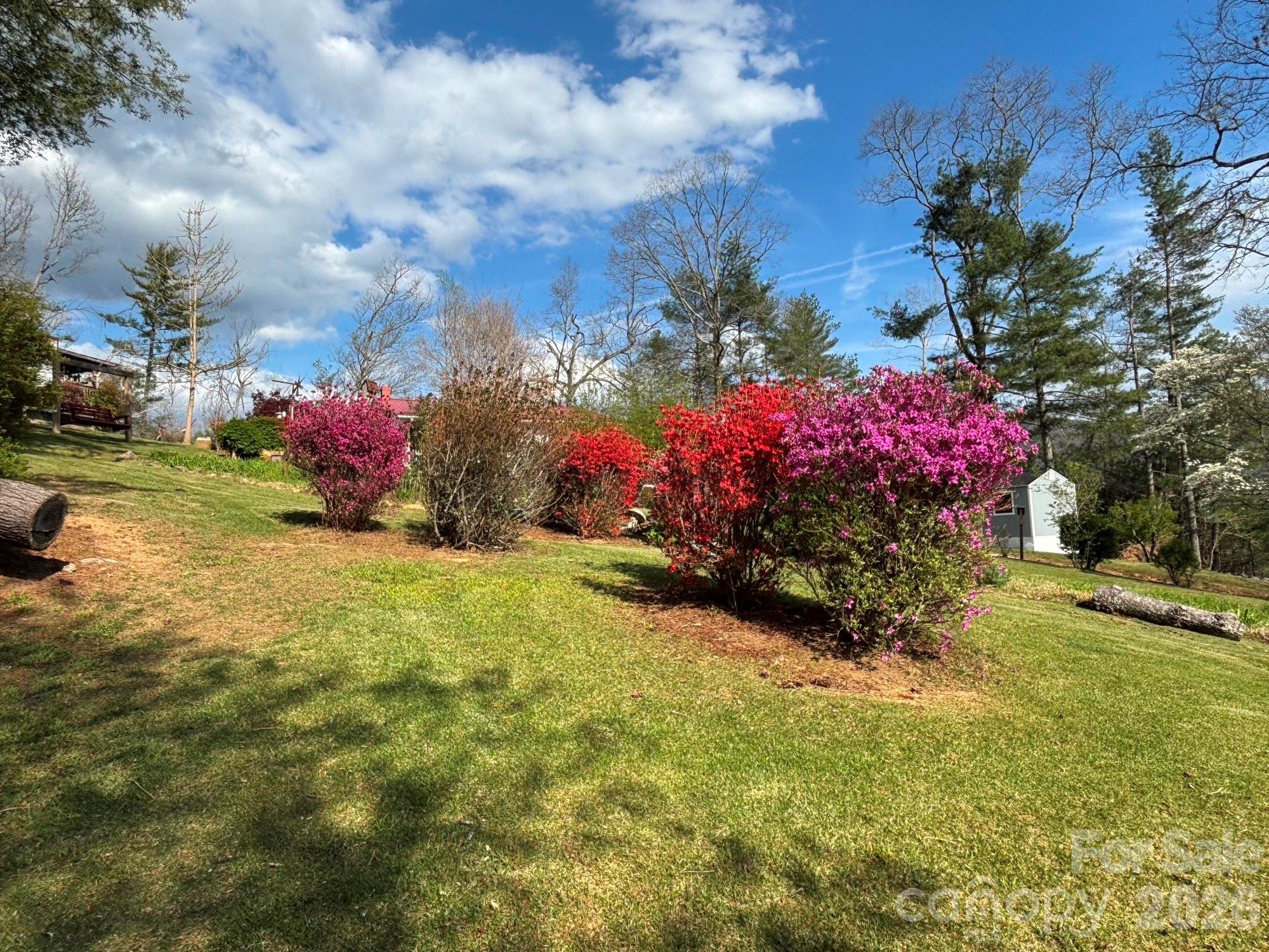 493 Franklintown Road Spruce Pine, NC 28777 - Photo 27 of 27 a view of a garden with flowers and tree