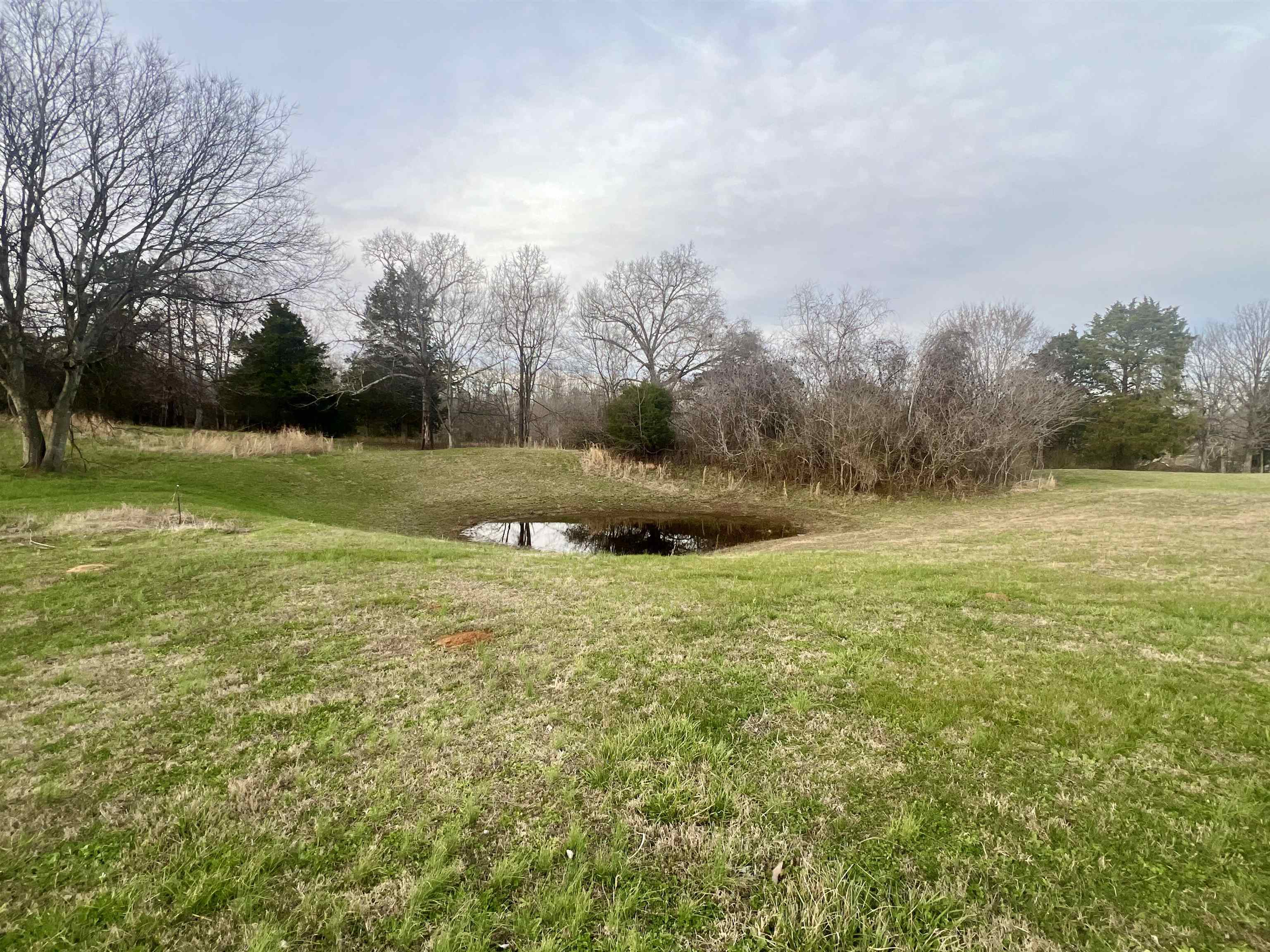 3015 Nance Bend Road Linden, TN 37096 - Photo 20 of 29 Gallery Image 20