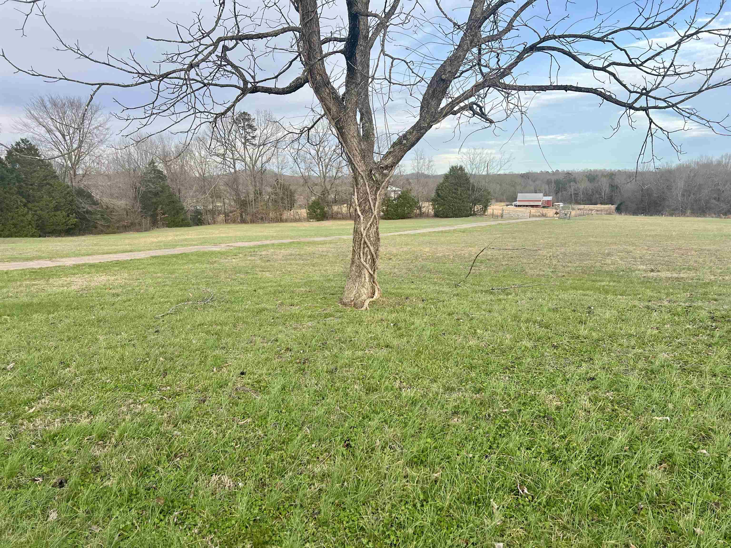 3015 Nance Bend Road Linden, TN 37096 - Photo 24 of 29 Gallery Image 24