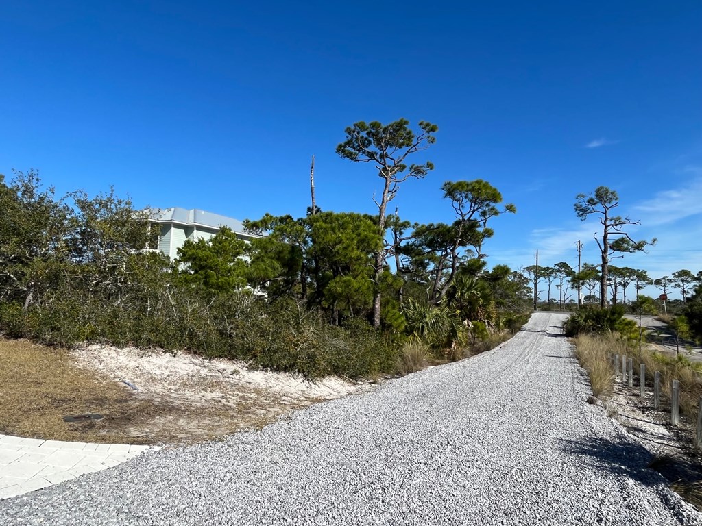 2 Cape San Blas Road Port St. Joe, FL 32456 - Photo 7 of 20