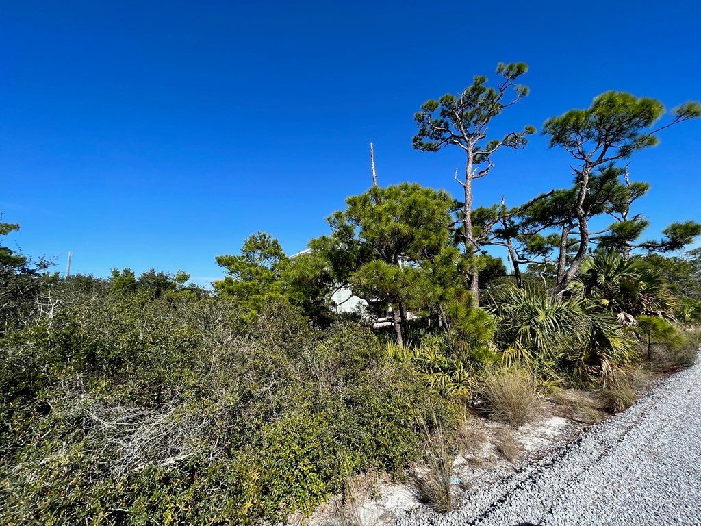 2 Cape San Blas Road Port St. Joe, FL 32456 - Photo 8 of 20