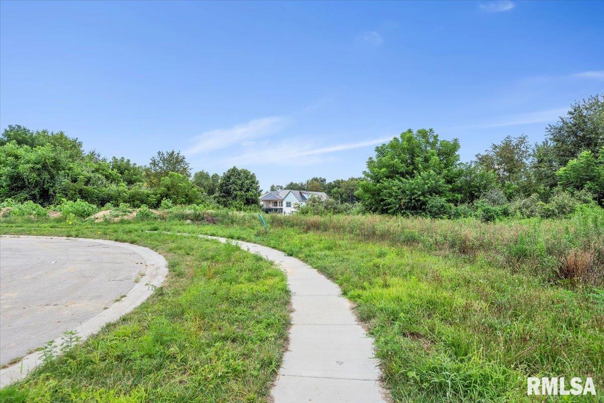 3509 Blue Heron Court Springfield, IL 62711 - Photo 7 of 9