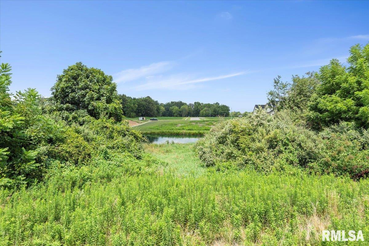 3509 Blue Heron Court Springfield, IL 62711 - Photo 9 of 9