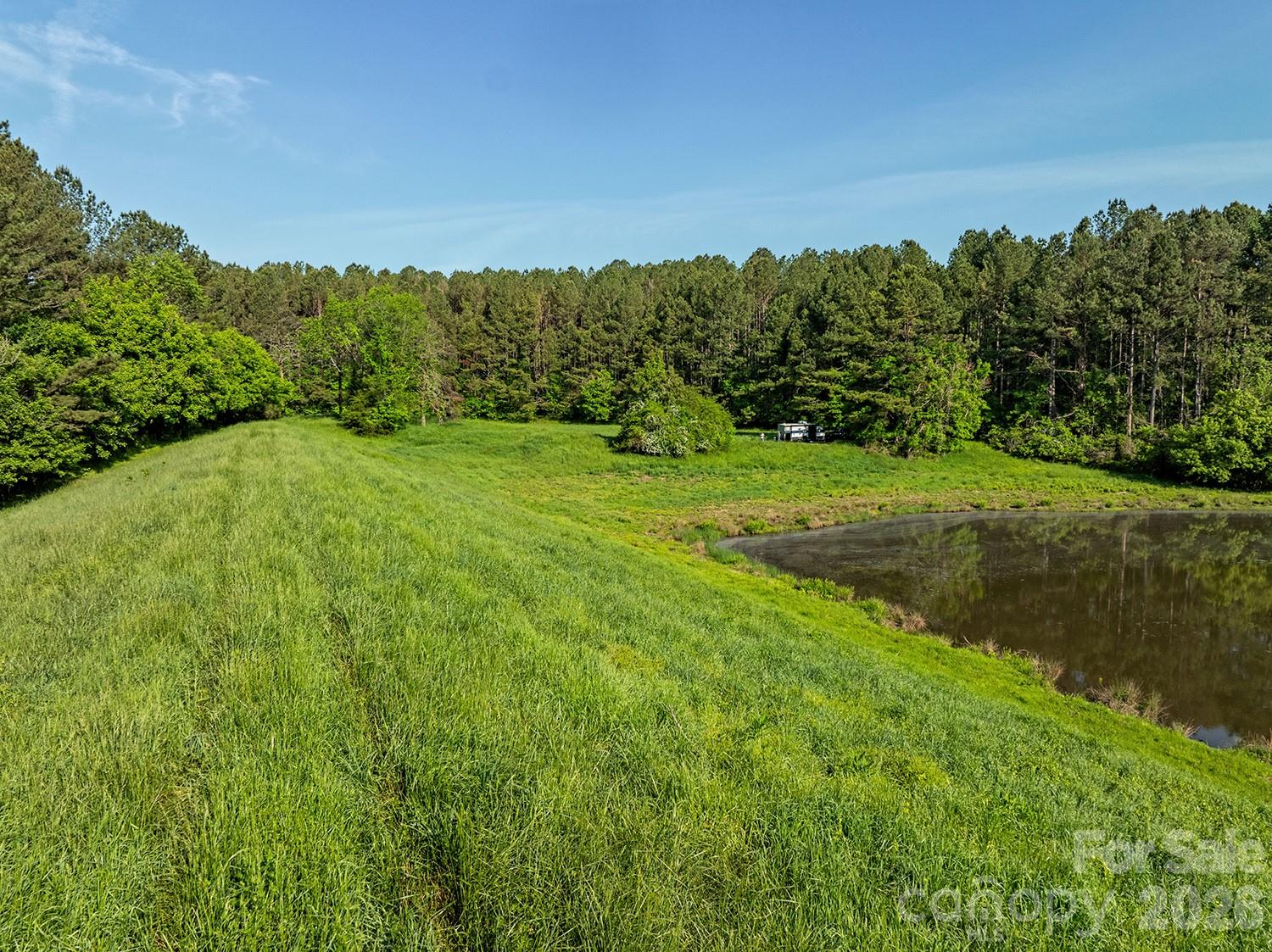 5555 Groves Road Union Mills, NC 28167 - Photo 13 of 26 a view of a big yard with large trees