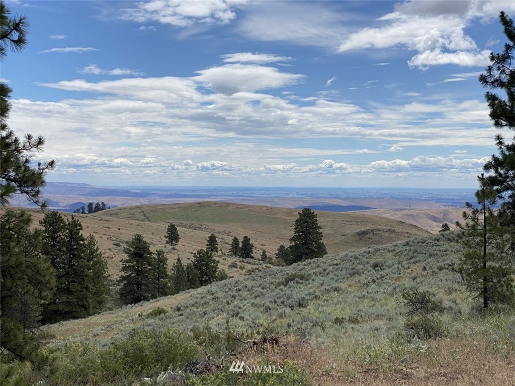 6811 Jumpoff Road, Unit LOT A Wenatchee, WA 98801 - Photo 11 of 32 Gallery Image 11