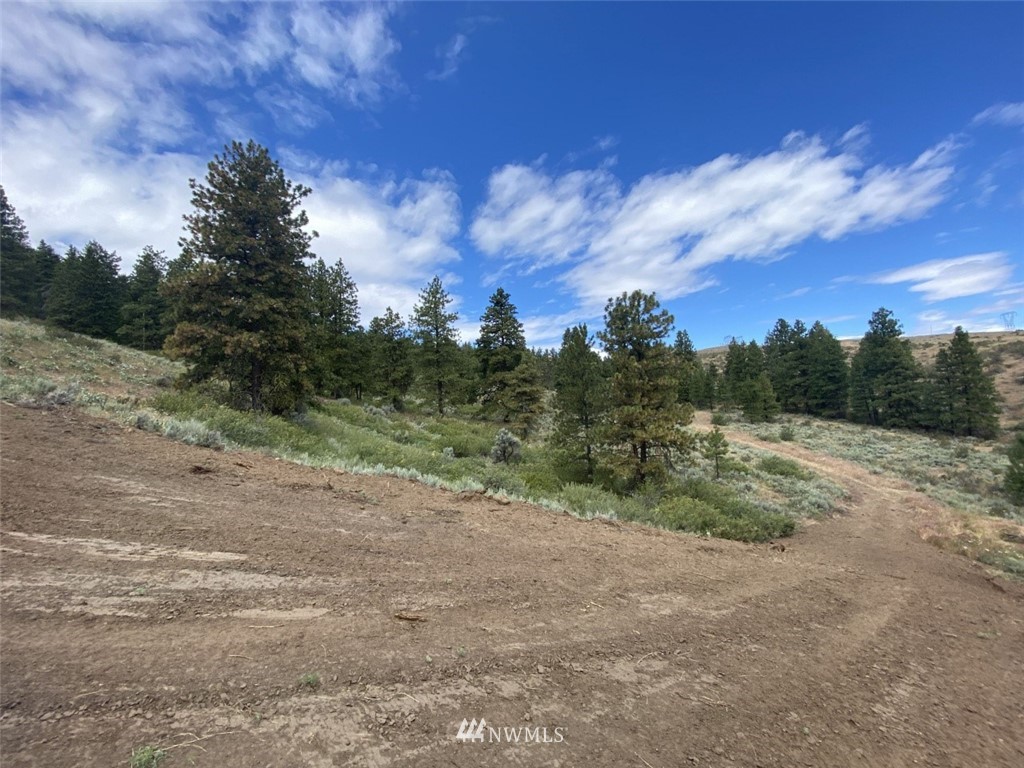 6811 Jumpoff Road, Unit LOT A Wenatchee, WA 98801 - Photo 13 of 32 Gallery Image 13