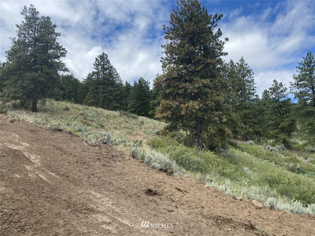 6811 Jumpoff Road, Unit LOT A Wenatchee, WA 98801 - Photo 16 of 32 Gallery Image 16