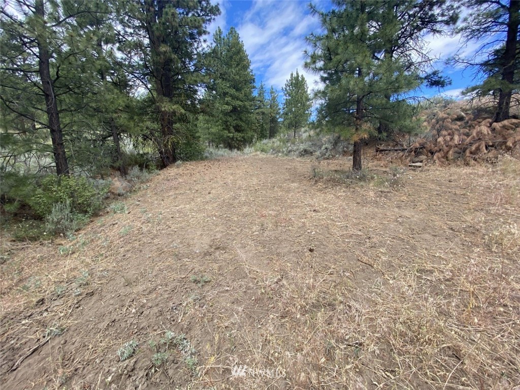 6811 Jumpoff Road, Unit LOT A Wenatchee, WA 98801 - Photo 28 of 32 Gallery Image 28