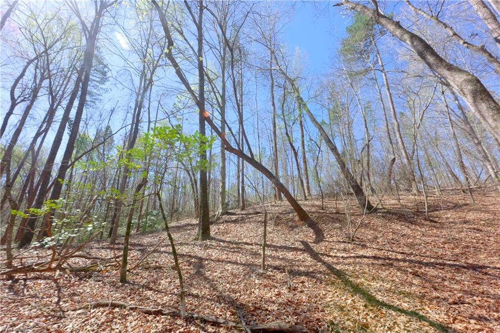 3 Alexander Farm Road Harmony, NC 28634 - Photo 8 of 27