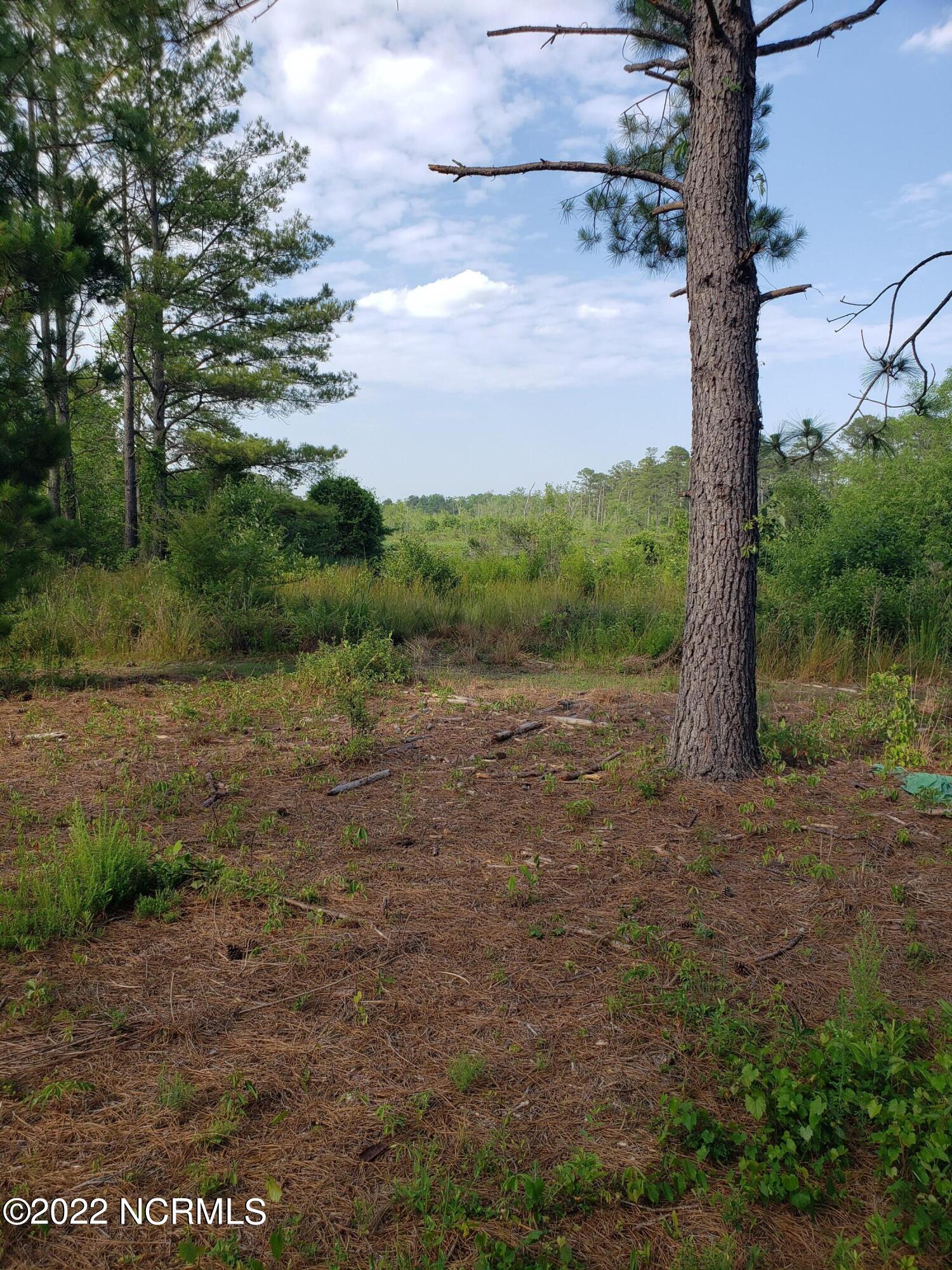 Tbd Quewhiffle Road Aberdeen, NC 28315 - Photo 5 of 14 20220607_171651