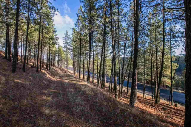 $110,000 | 13110 South Fairway Ridge Lane, Spokane, WA 99224