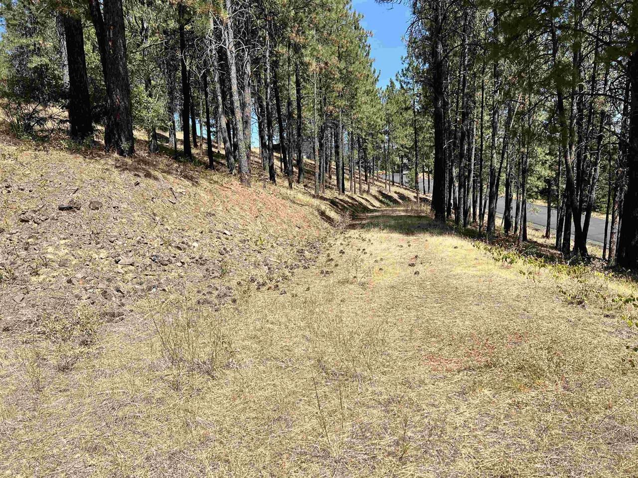 13110 South Fairway Ridge Lane Spokane, WA 99224 - Photo 6 of 7