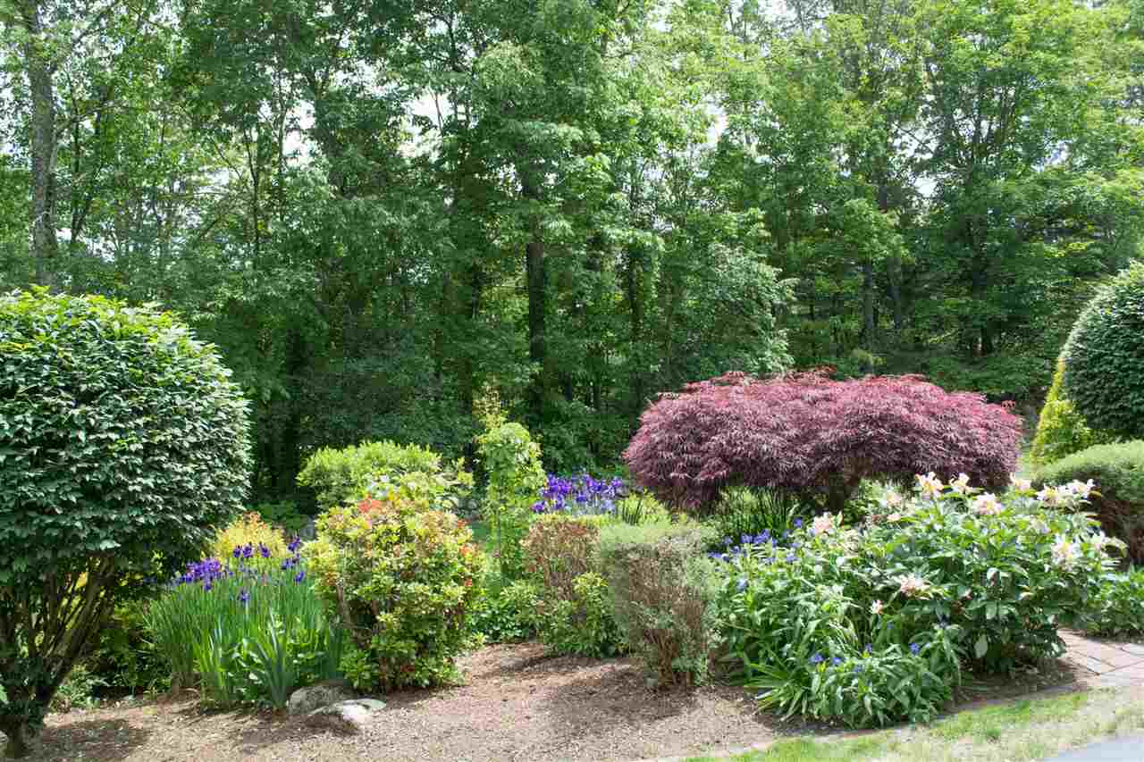 333 North Amherst Road Bedford, NH 03110 - Photo 24 of 30