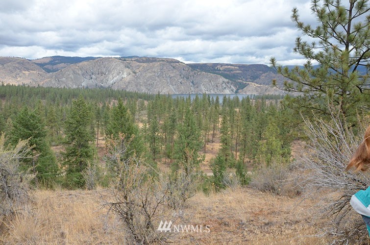 0 Hanson Harbor Road North Wilbur, WA 99185 - Photo 15 of 24 Gallery Image 15