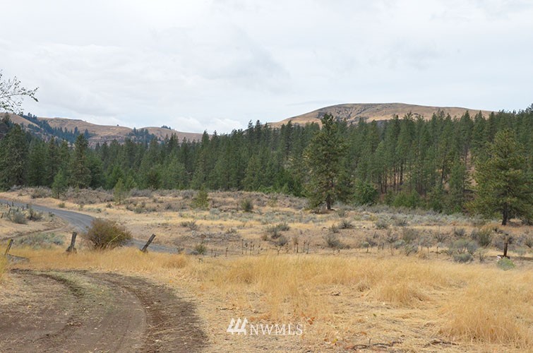 0 Hanson Harbor Road North Wilbur, WA 99185 - Photo 16 of 24 Gallery Image 16