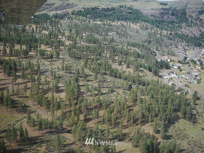 0 Hanson Harbor Road North Wilbur, WA 99185 - Photo 19 of 24 Gallery Image 19