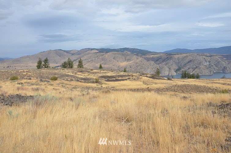 0 Hanson Harbor Road North Wilbur, WA 99185 - Photo 8 of 24 Gallery Image 8