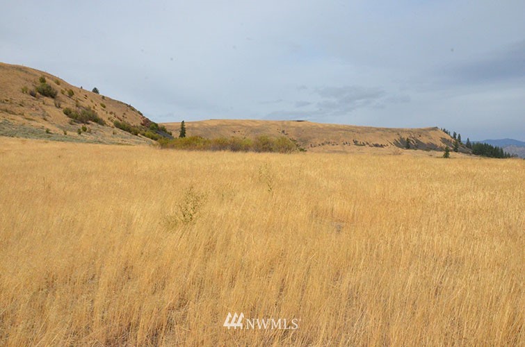 0 Hanson Harbor Road North Wilbur, WA 99185 - Photo 10 of 24 Gallery Image 10