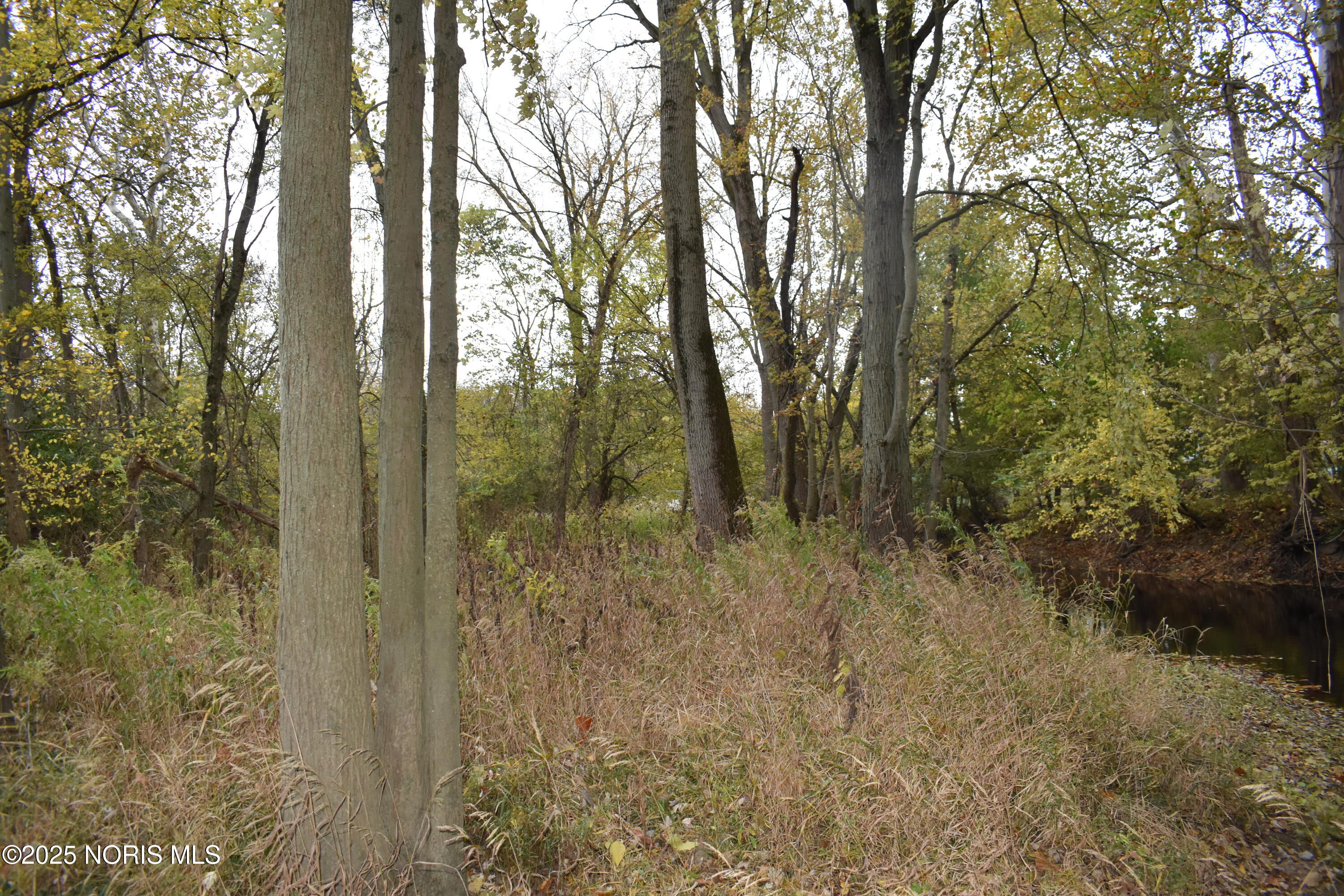 9340 Stitt Road Whitehouse, OH 43571 - Photo 19 of 50 November 20 RE (18)