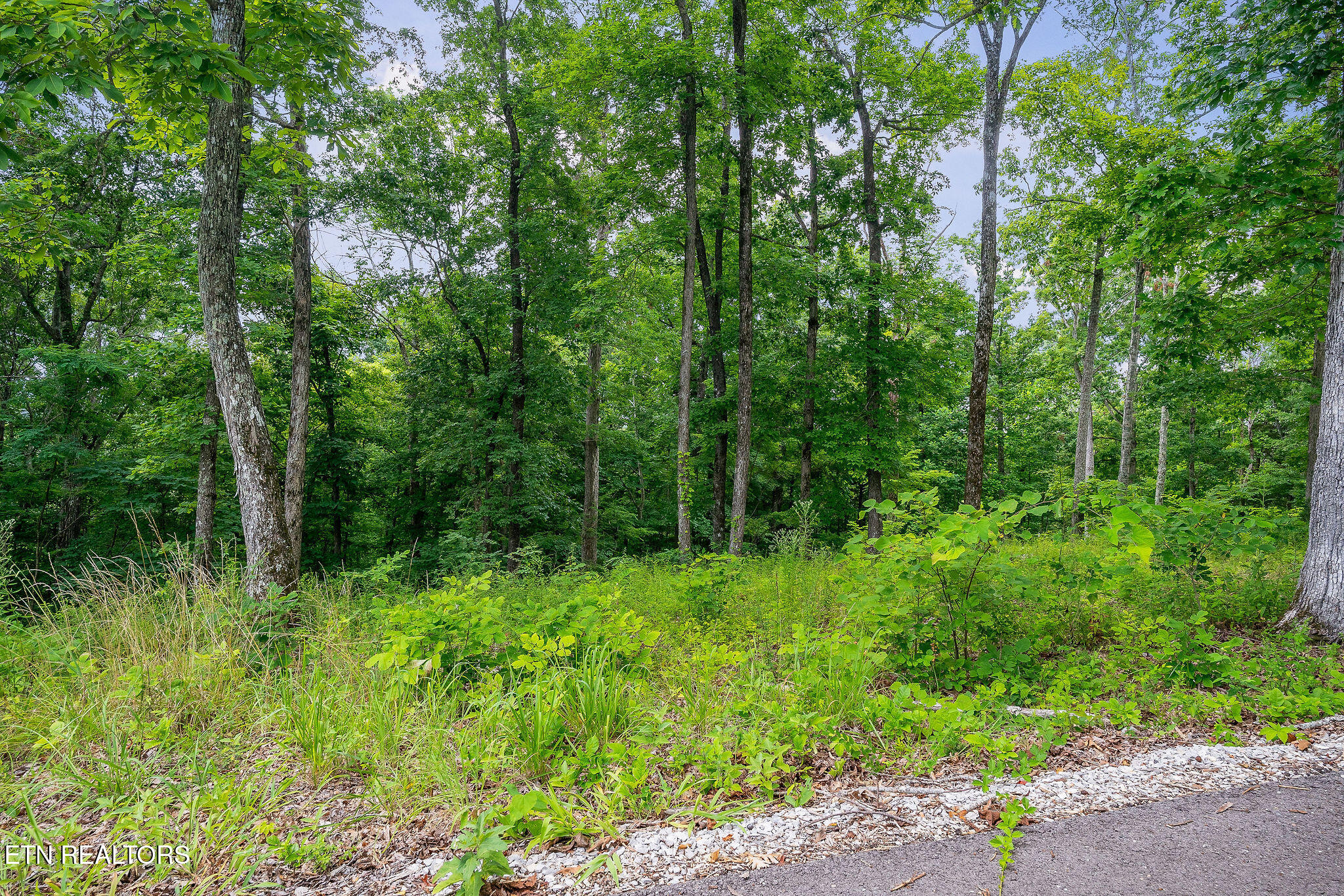 North Rock Fish Road Celina, TN 38551 - Photo 16 of 18 DSC06383