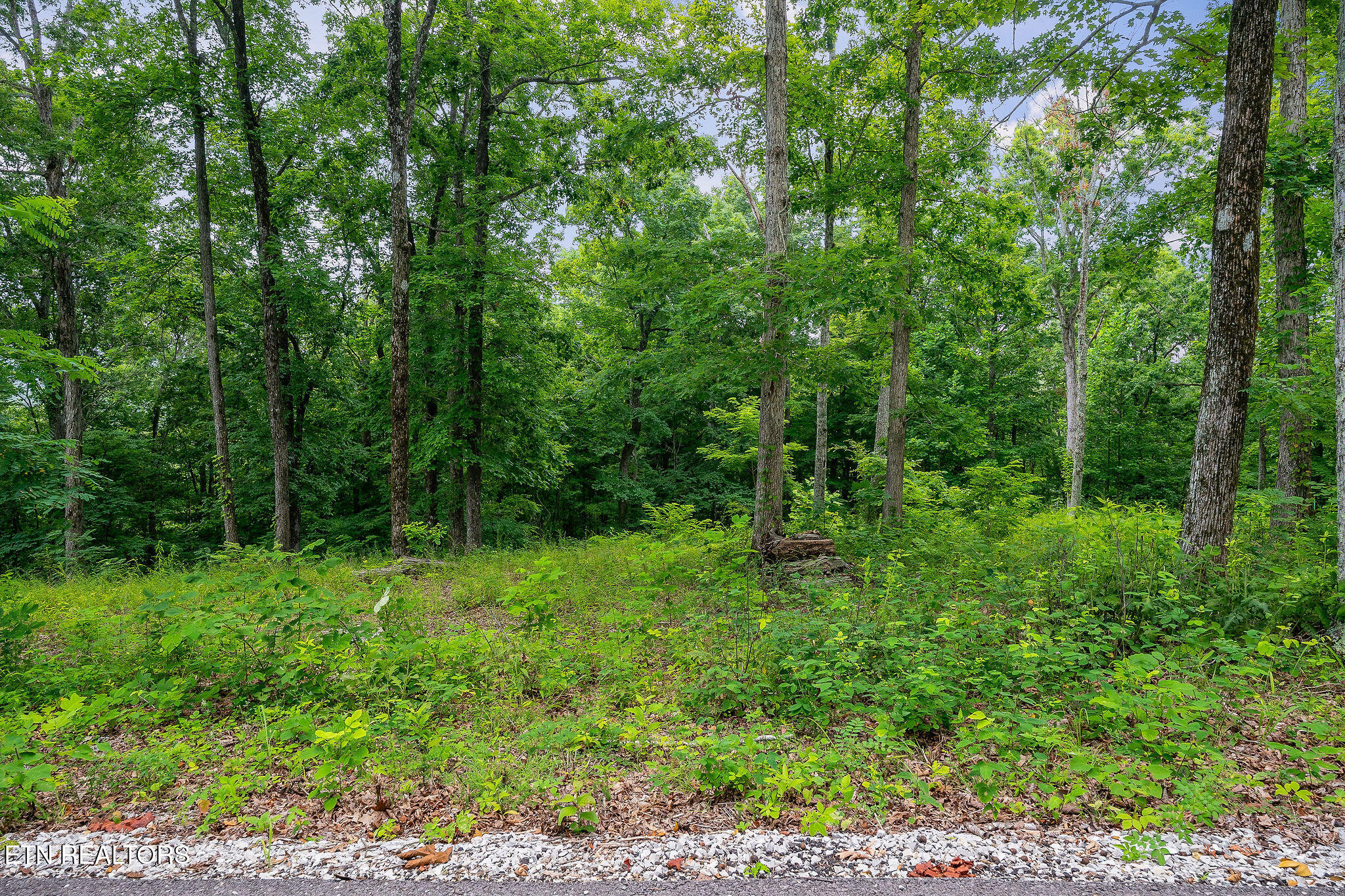 North Rock Fish Road Celina, TN 38551 - Photo 17 of 18 DSC06386