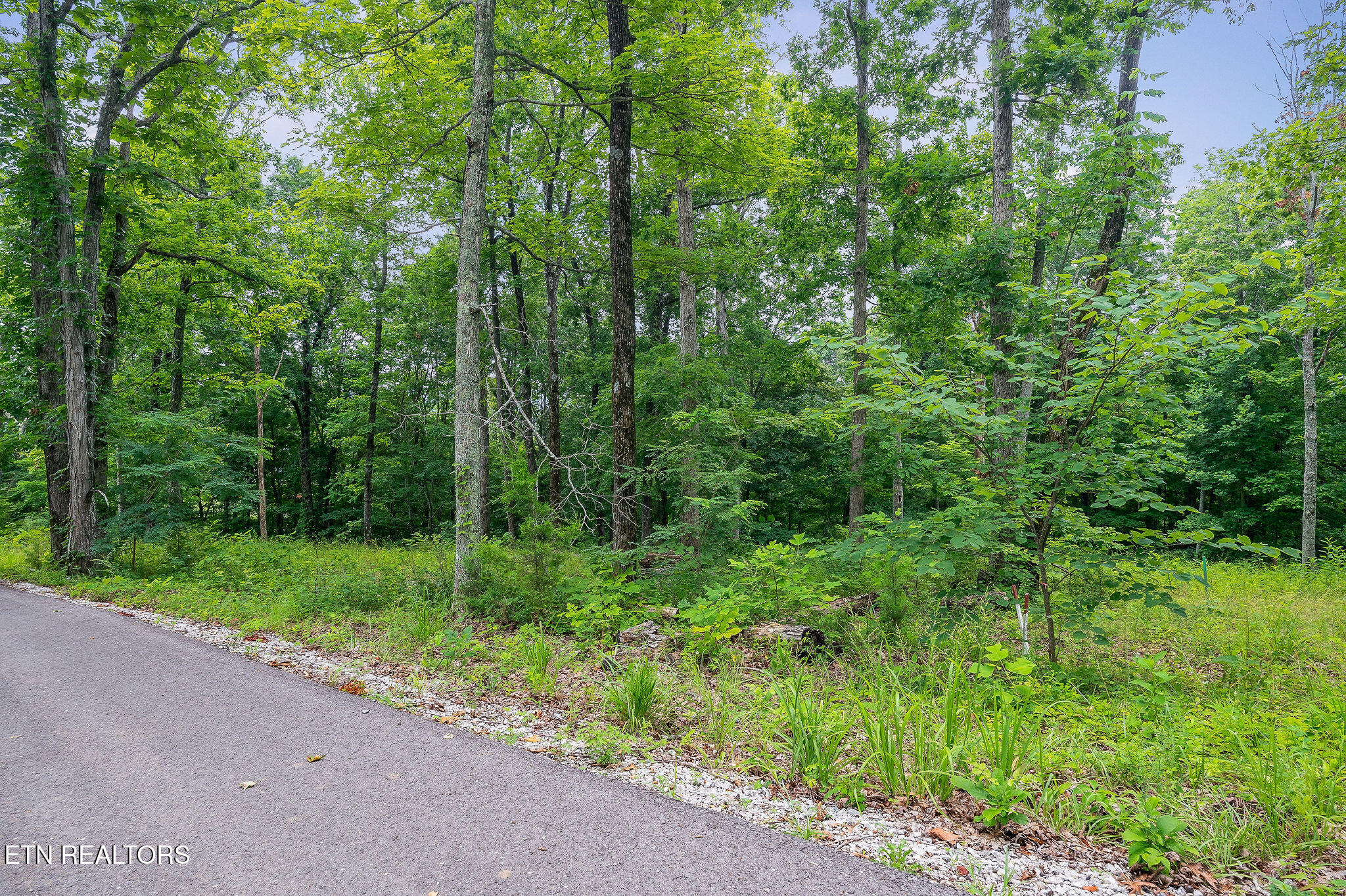 North Rock Fish Road Celina, TN 38551 - Photo 18 of 18 DSC06389